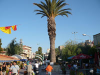 palmier Fotografii Kusadasi oras - Turcia 